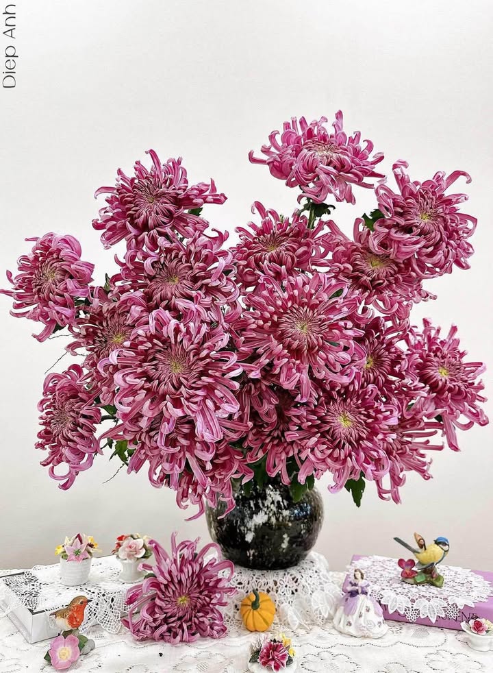 Căn hộ Times City Hoàng Mai 79m² giá 16 triệu - View đẹp, full nội thất!