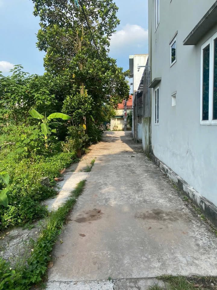 Đất nền Song Mai Kim Động 135m² giá 1.8 tỷ - Sổ đỏ chính chủ