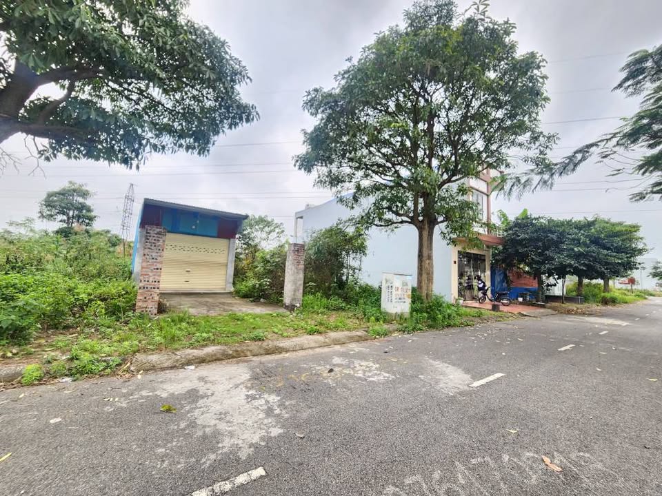 Đất TDC Bạch Mai, An Dương 78.75m² - Sổ Đỏ Rõ Ràng, Vị Trí Đắc Địa