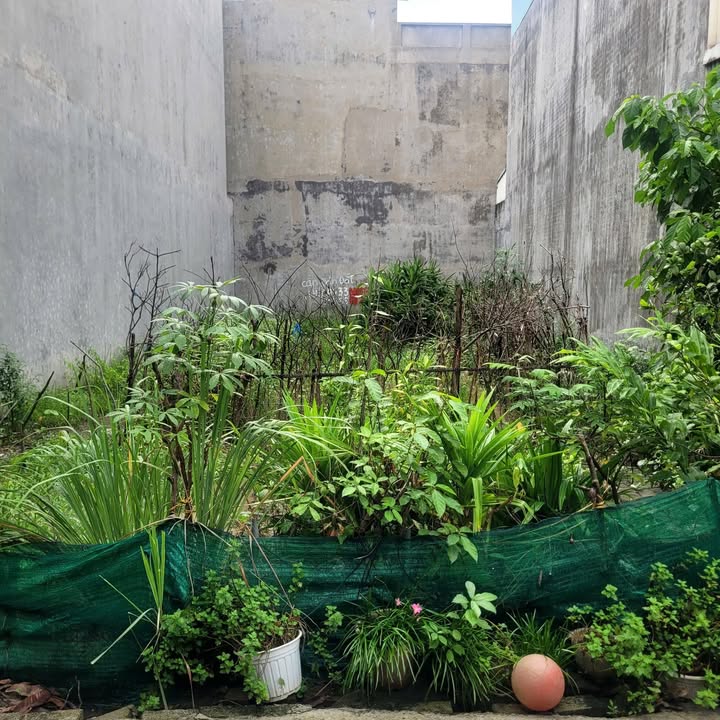 Bán Đất Hùng Vương, Hải Phòng 80m² - Sổ Đỏ Chính Chủ, Ô Tô Đỗ Cửa