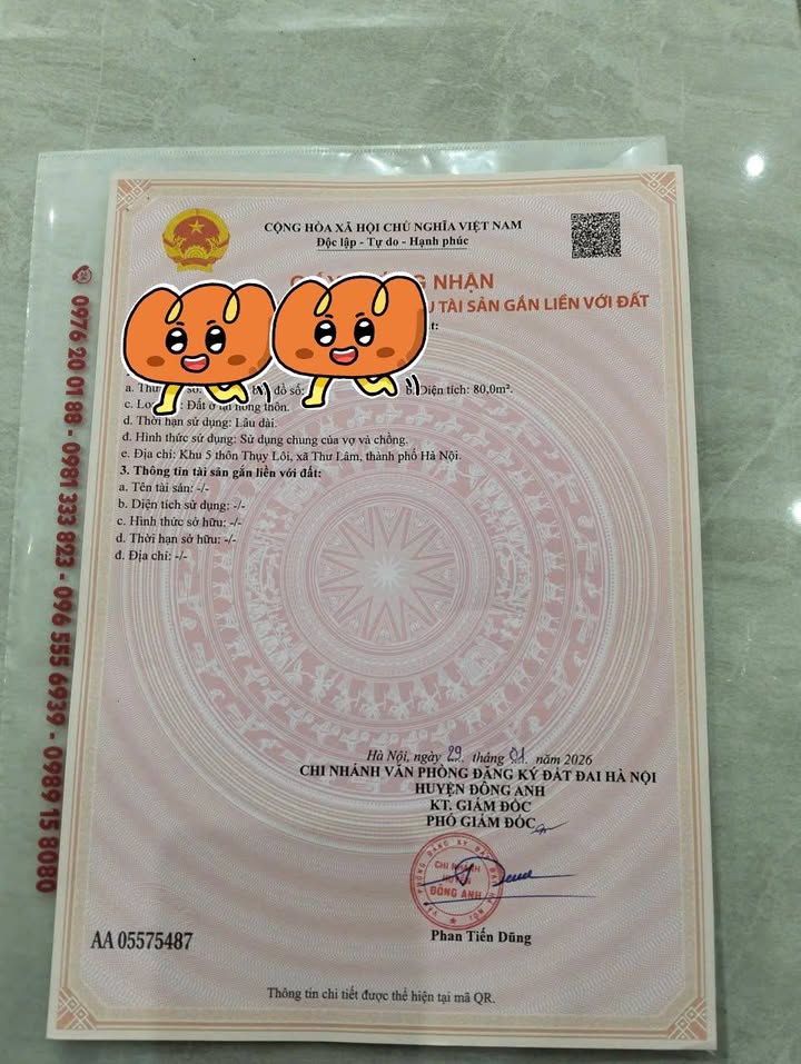 Đất nền Cổ Loa Đông Anh 80m² giá 5 tỷ - Đường to ô tô tránh!