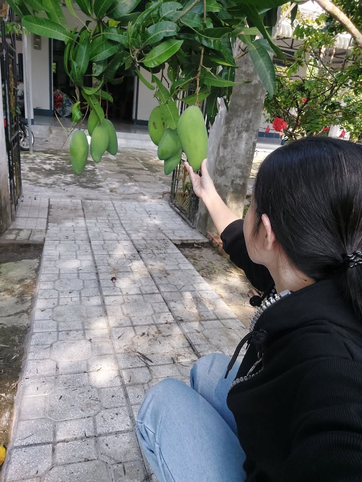 Đất nền An Thạnh 1, Sóc Trăng 1300m² giá 1.3 tỷ - Sổ đỏ chính chủ!