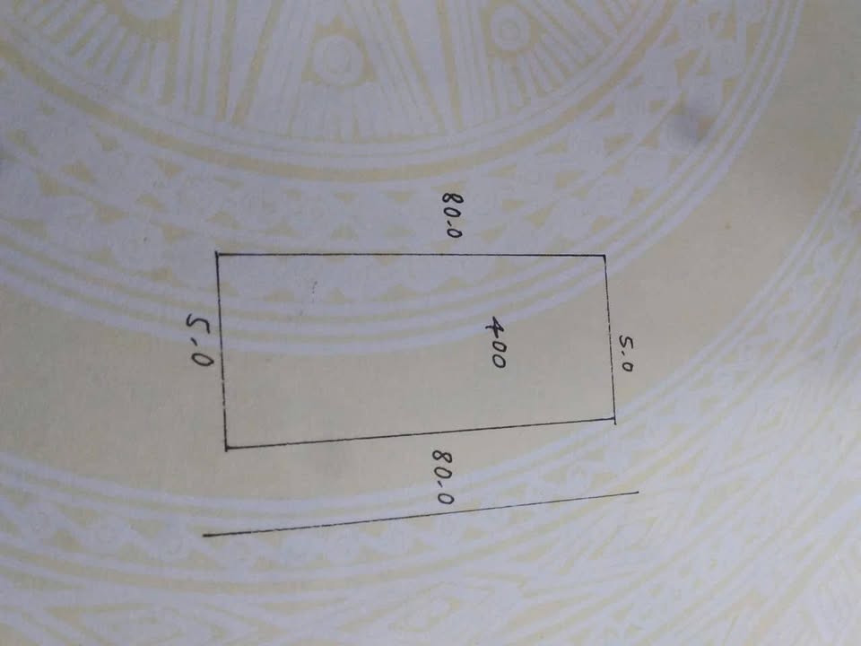 Đất nền Lục Nam, Bắc Giang 7000m² – Sổ đỏ chính chủ, giá tốt.