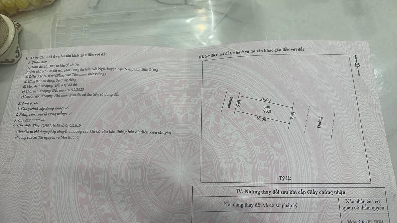 Đất nền 80m² KDT Phía Đông - Lục Nam, hướng ĐN, giá 3 tỷ - Sẵn sổ