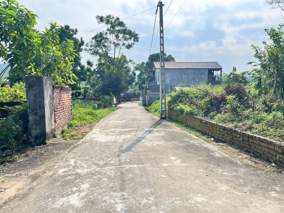 Đất nền Hòa Lạc, Thạch Thất 360m² - Tiềm năng tăng giá!