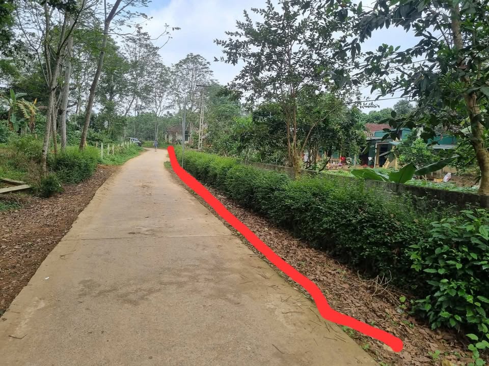 Đất Vườn Minh Tiến, Ngọc Lặc - 4000m² Bám Đường Gần 100m, Giá Tốt