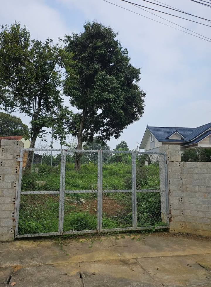 Đất nền Thôn Chóng Yên Bài 500m² - Sổ đỏ chính chủ