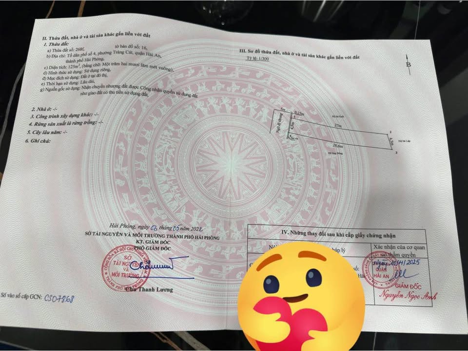 Đất nền Tràng Cát Hải An 125m² - Tiềm năng tăng giá vượt trội!