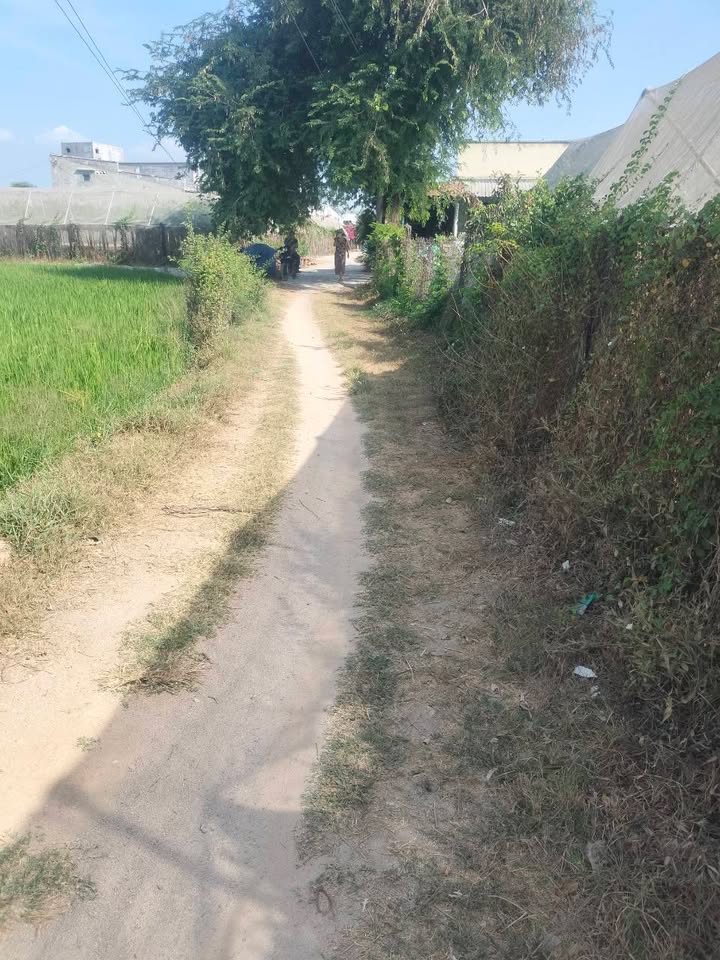 Đất Long Bình 1 Ninh Phước 1.886m² 950 triệu - Sổ đỏ chính chủ