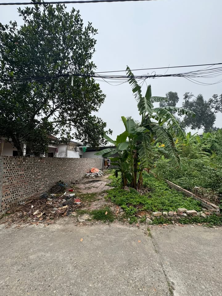 Đất nền TDP Tam Á, Thuận Thành 92m² - Tiềm năng tăng giá vượt trội!