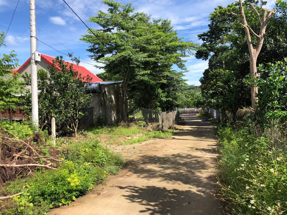 Đất Lê Duẩn Nha Trang 1552m² - Tiềm năng tăng giá vượt trội!