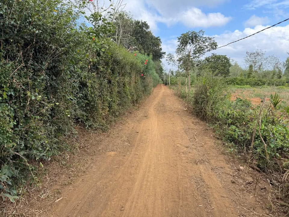 Đất Nền Ea Kar 3000m² - Mặt Tiền 55m, Giá Chỉ 6xx Tỷ