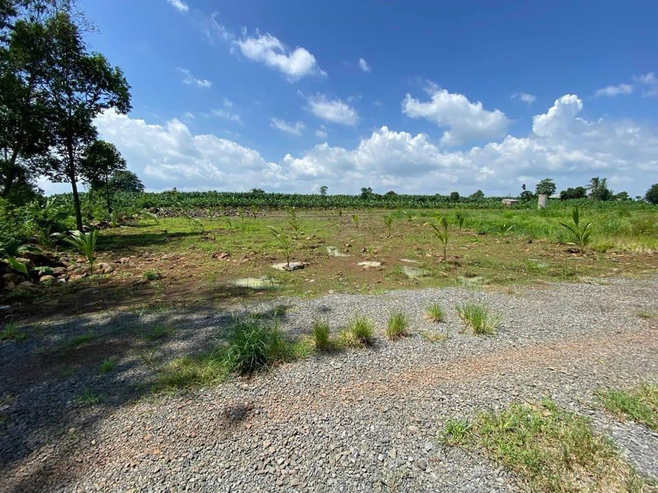 Đất nền Trảng Bom 1169m² giá 530 triệu - Giá tốt hiếm có!