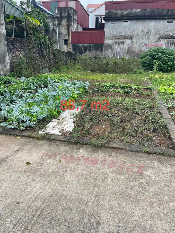 Đất nền Phú Xuyên 88.7m² - Sổ đỏ chính chủ, đường xe tải, nở hậu tài lộc