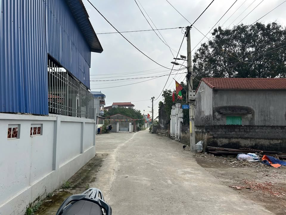 Đất nền Phúc Quang, Trầm Lộng 100m² - Sổ đỏ chính chủ, ô tô vào tận nơi!