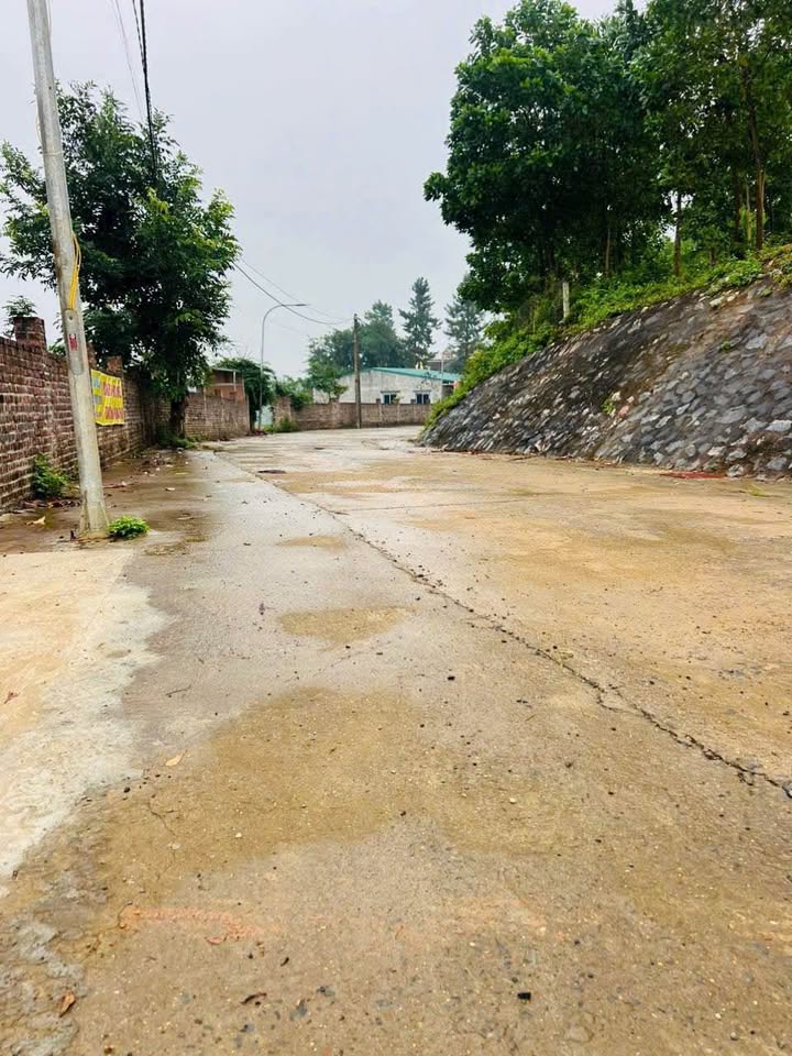 Đất Vườn Yên Bình Thạch Thất 2800m² - Đầu tư dài hạn, sinh lời cao!