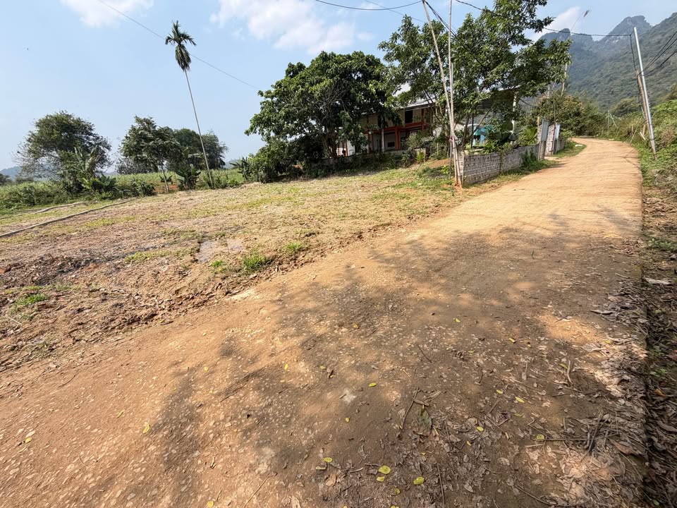 Đất nền Tân Lạc 226m² - Sổ sẵn, giá chỉ 2xx triệu