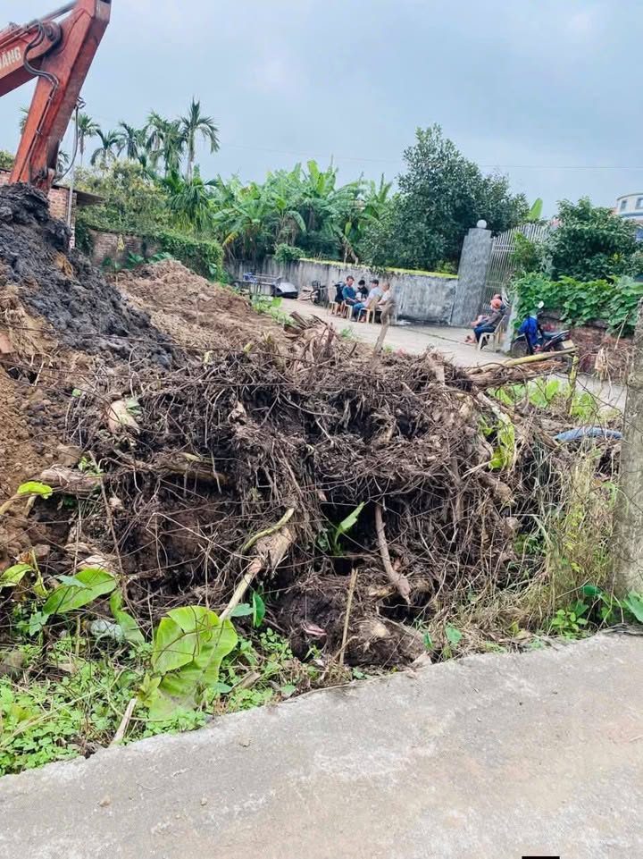 Đất Nền Thái Thụy 106m² - Sổ Hồng Sẵn Sàng, Giá Đầu Tư Hấp Dẫn