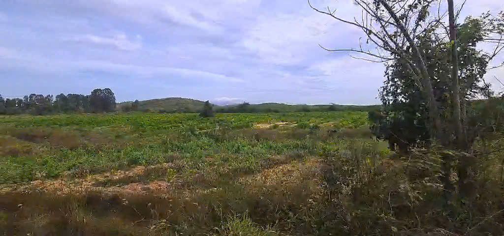 Đất Vườn 154ha Hàm Thuận Nam, Bình Thuận - Cơ Hội Đầu Tư Dài Hạn!