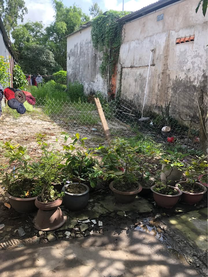 Đất Nền Đường Phạm Phú Thứ, Long Xuyên 48m² - Sổ đỏ chính chủ, giá tốt!