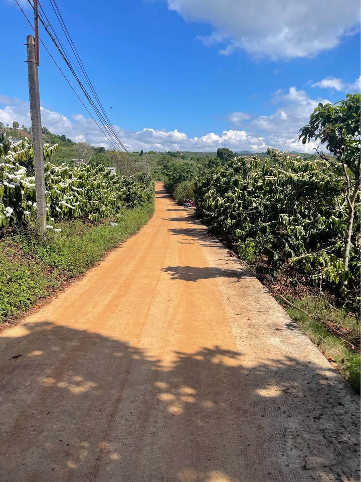 Đất nền trung tâm Nam Ban 1.043m² giá 2.6 tỷ - Sổ đỏ chính chủ