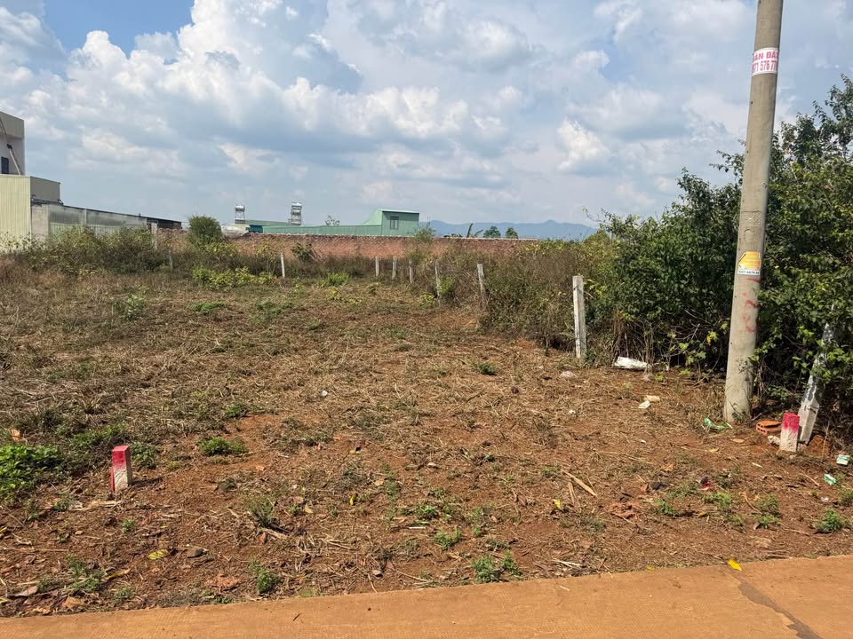 Nhà Hẻm 104 Trần Văn Ơn 122m² Hướng Nam - Sổ Hồng Sẵn Sàng