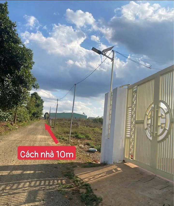 Đất Nền Ia Grai 116m² - Tiềm Năng Tăng Giá Vượt Trội!