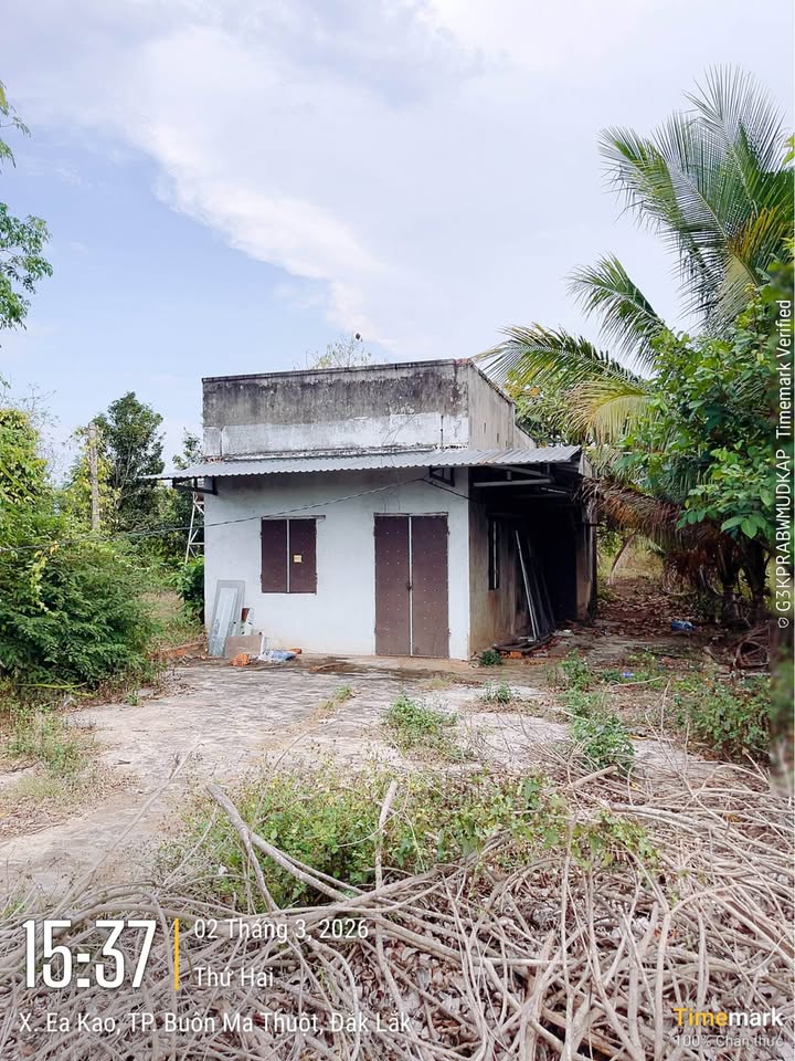 Nhà cấp 4 160m² tại Ea Kao, Buôn Ma Thuột - Sổ đỏ chính chủ, giá 5xx triệu