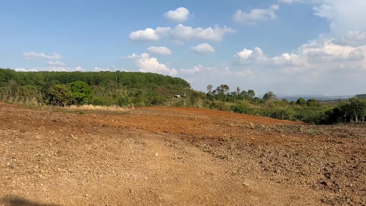 Đất nền Ia Hla Chư Pưh 10000m² - Tiềm năng tăng giá vượt trội!