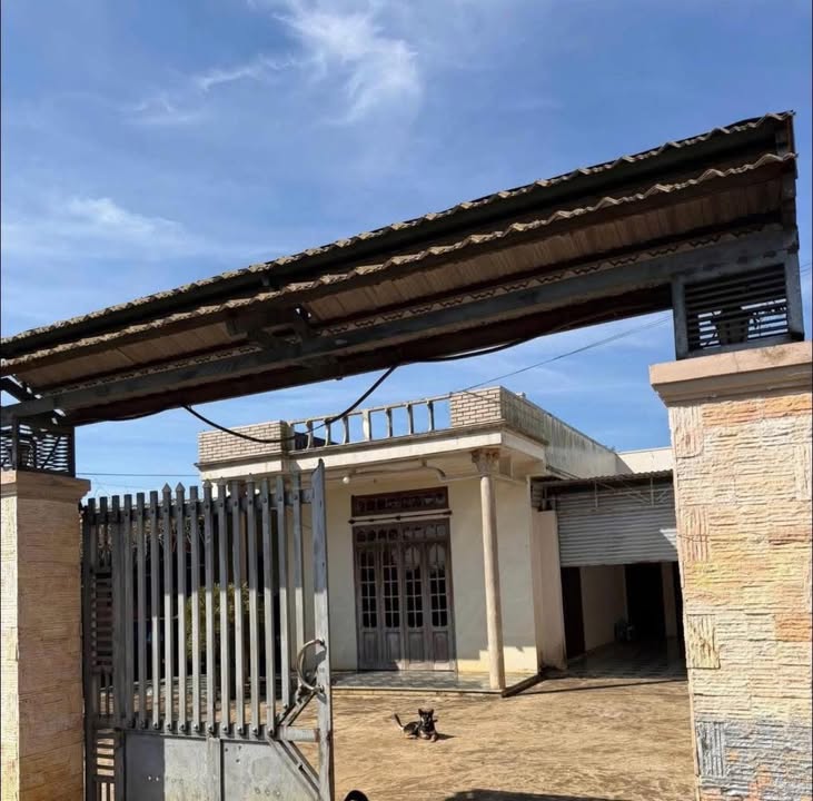 Nhà Phố Võ Trung Thành, BMT 264m² - Đầu tư sinh lời vượt trội!