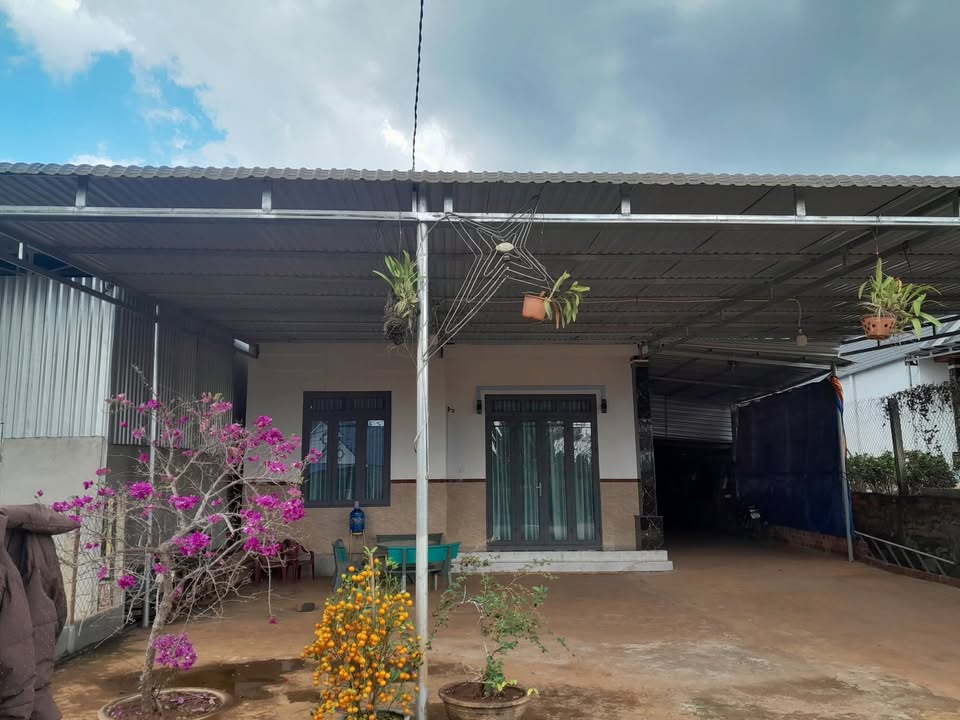 Nhà & Đất Xuân Thành, Đức Minh 960m² - Chính chủ bán, nở hậu đẹp!