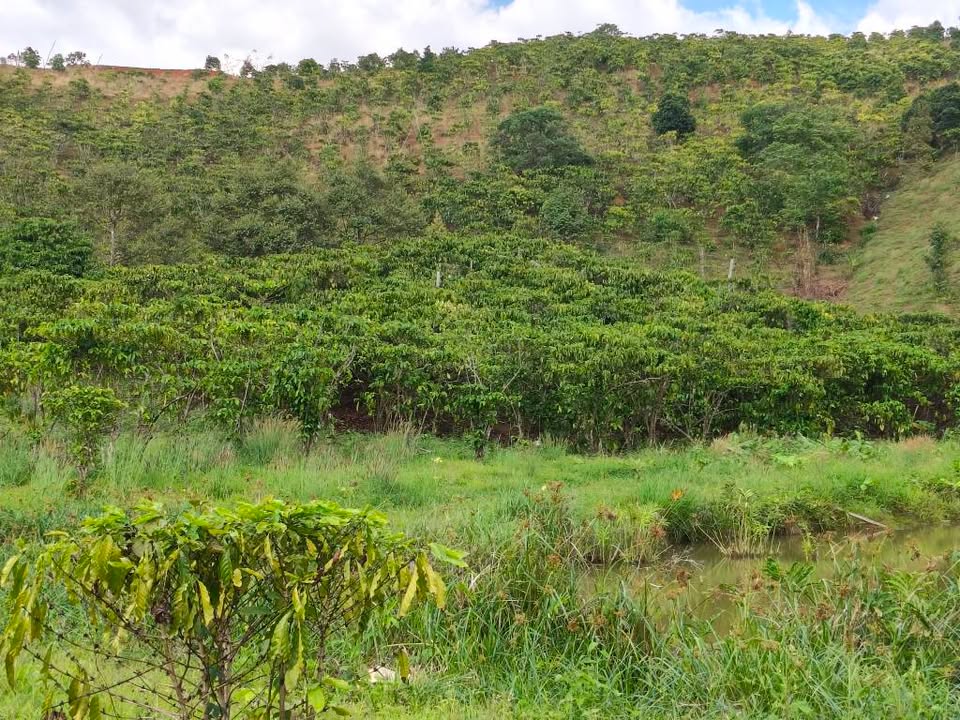 Đất nền Lộc Bảo, Bảo Lâm 1800m² - Sổ đỏ chính chủ!