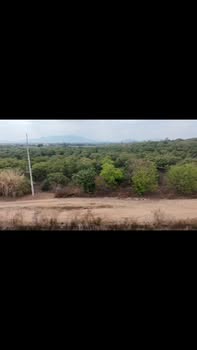 Bán Đất Vườn 2.7ha Ia Lâu, Chư Prông - Tiềm Năng Sinh Lời Cao