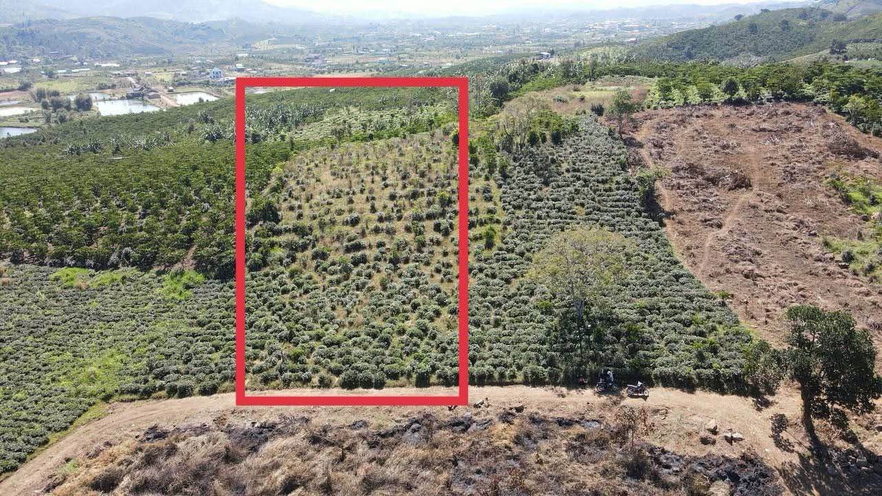 Đất nền Bảo Lộc 2828m² giá 1.75 tỷ - Đường to ô tô vào tận nơi!