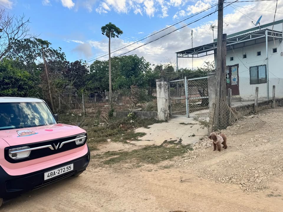 Đất nền Cư Jút 600m² 349 triệu - Tiềm năng tăng giá vượt trội!