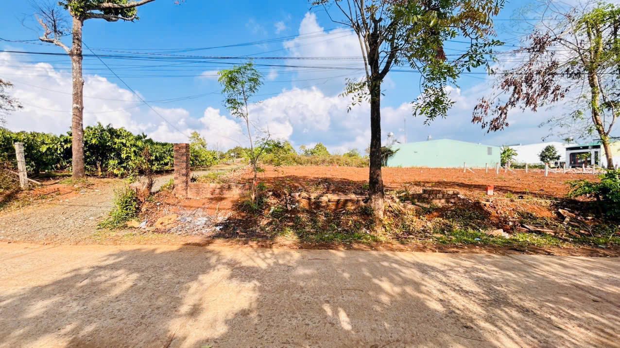 Đất Lô Góc MT Ký Con, Pleiku - 135m² Sổ Đỏ, Kinh Doanh Tốt