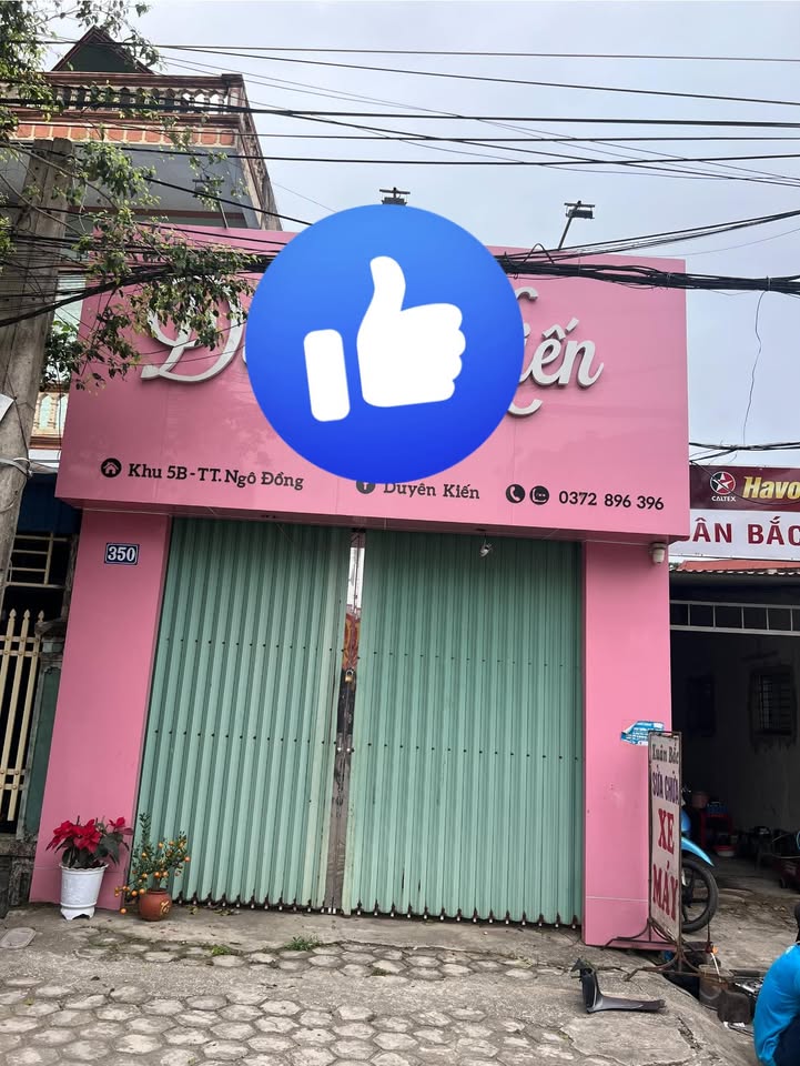 Đất Quốc lộ 37B Giao Thủy 66m² 3 tỷ - Sổ đỏ chính chủ