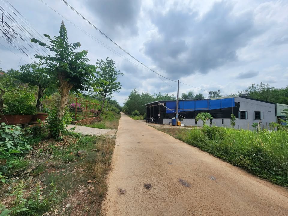 Đất nền Đồng Xoài 145m² - Sổ đỏ chính chủ, tiềm năng sinh lời!