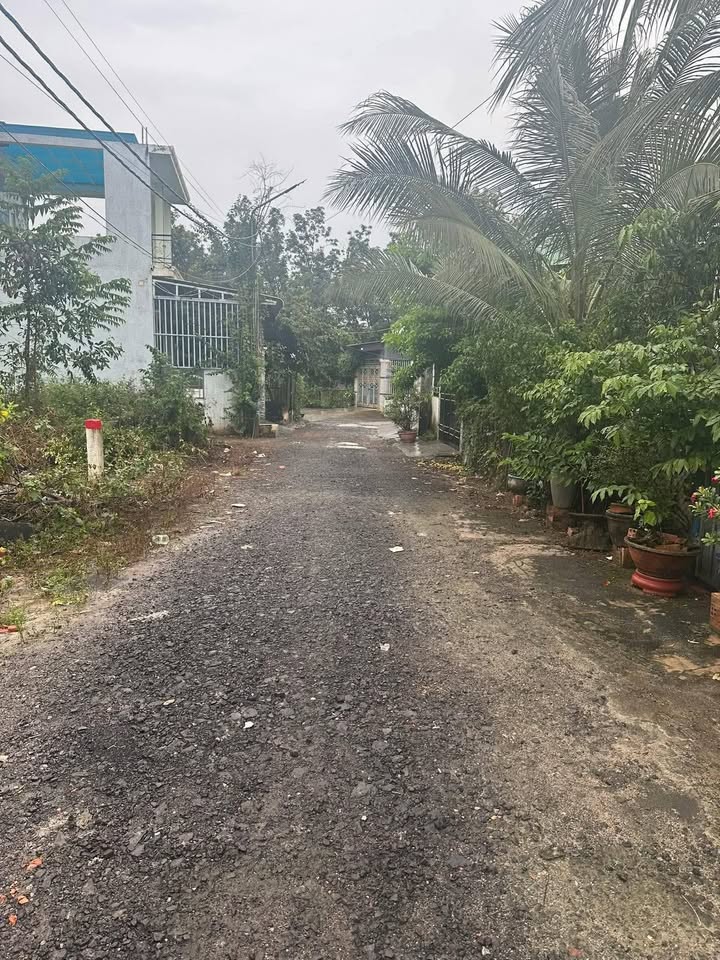 Đất nền Trần Hữu Độ, Đồng Xoài 168m² - Đất thổ cư 100%!