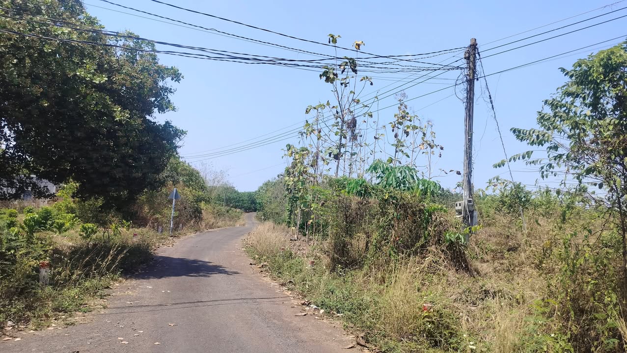 Đất Nền 687m² Sổ Đỏ Ấp 9 Thanh Hòa Bù Đốp - Vị Trí Đắc Địa