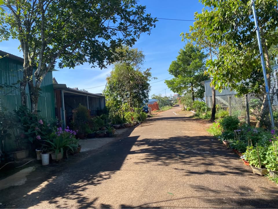 Đất nền Chơn Thành 600m² - Mặt tiền đường nhựa, tiềm năng tăng giá!