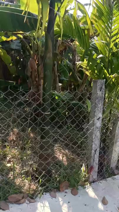 Đất Nền Hòa Vang Đà Nẵng 194m² View Sông – Cơ Hội Đầu Tư Vàng