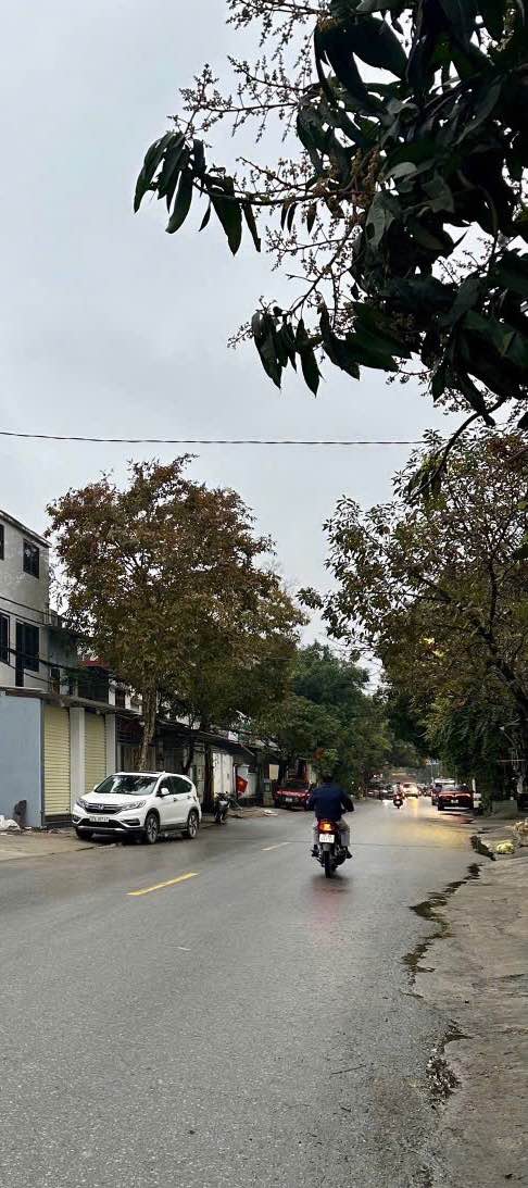 Nhà Phố Ngô Đức Kế TP Vinh 60m² chỉ 5.x tỷ - Mặt tiền kinh doanh!