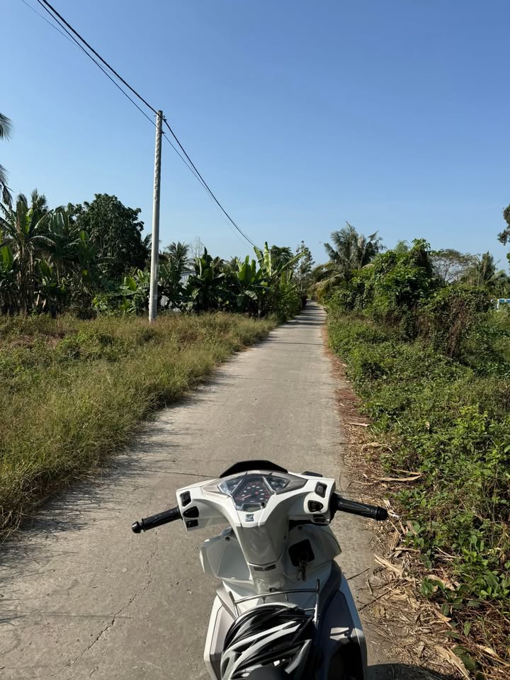 Đất nền Thị trấn Tân Hiệp, Kiên Giang 5100m² - Đường ô tô tới nền