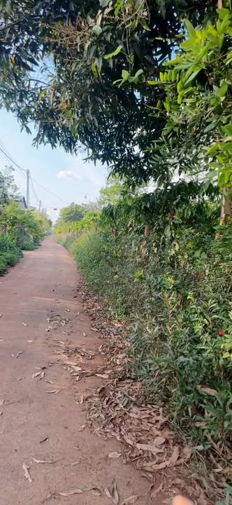 Đất nền Chư Sê, Gia Lai 700m² giá 700 triệu - Sổ hồng chính chủ!