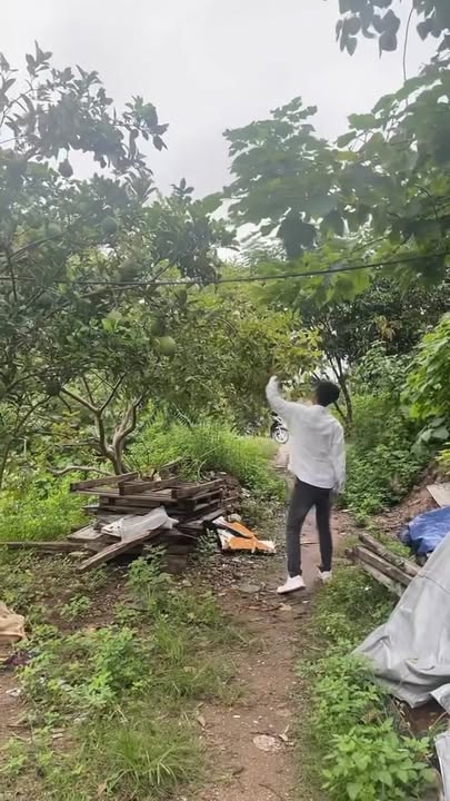 Đất Vàng Việt Yên, Thanh Trì 2000m² - Sổ Đỏ 50 Năm - Giá Đầu Tư Hời