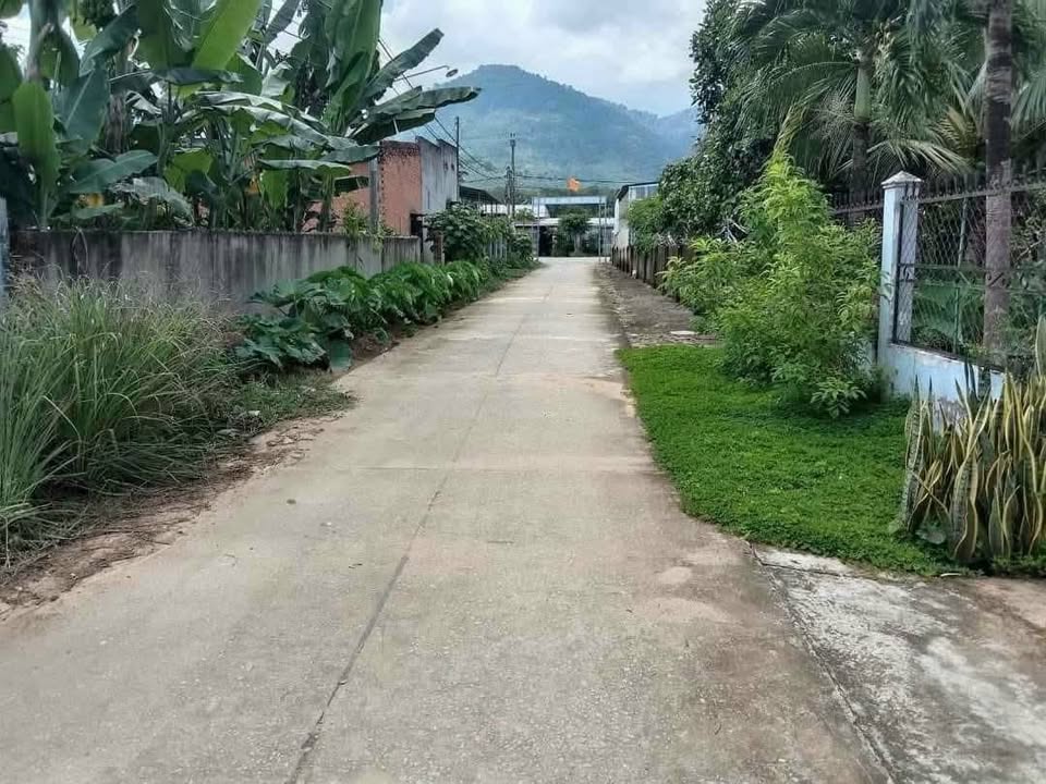 Nhà riêng Đức Linh 354m² - Sổ hồng sẵn, ô tô vào tận nhà!