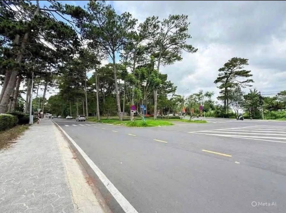 Đất Đà Lạt Lê Văn Tám 1.264m² giá 60 tỷ - Đường to ô tô