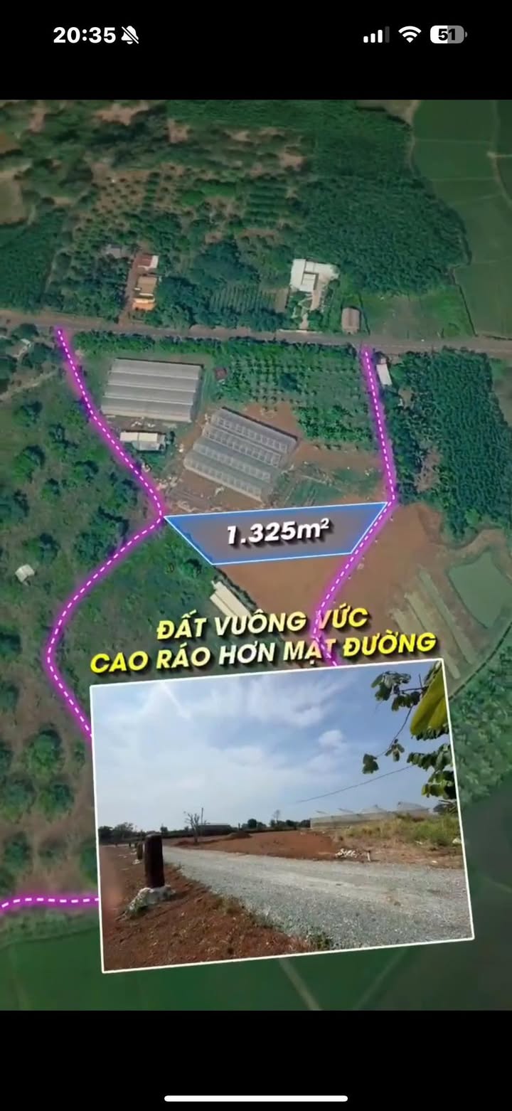 Đất vườn Long Tân Đất Đỏ 1.325m² giá 1.45 tỷ - Nghỉ dưỡng lý tưởng