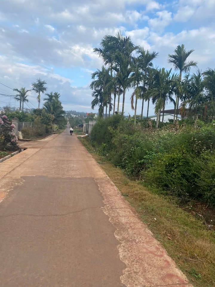 Đất Vàng Phường Phước Trung, Bà Rịa - 260m² Giá 3.8 Tỷ (TL)